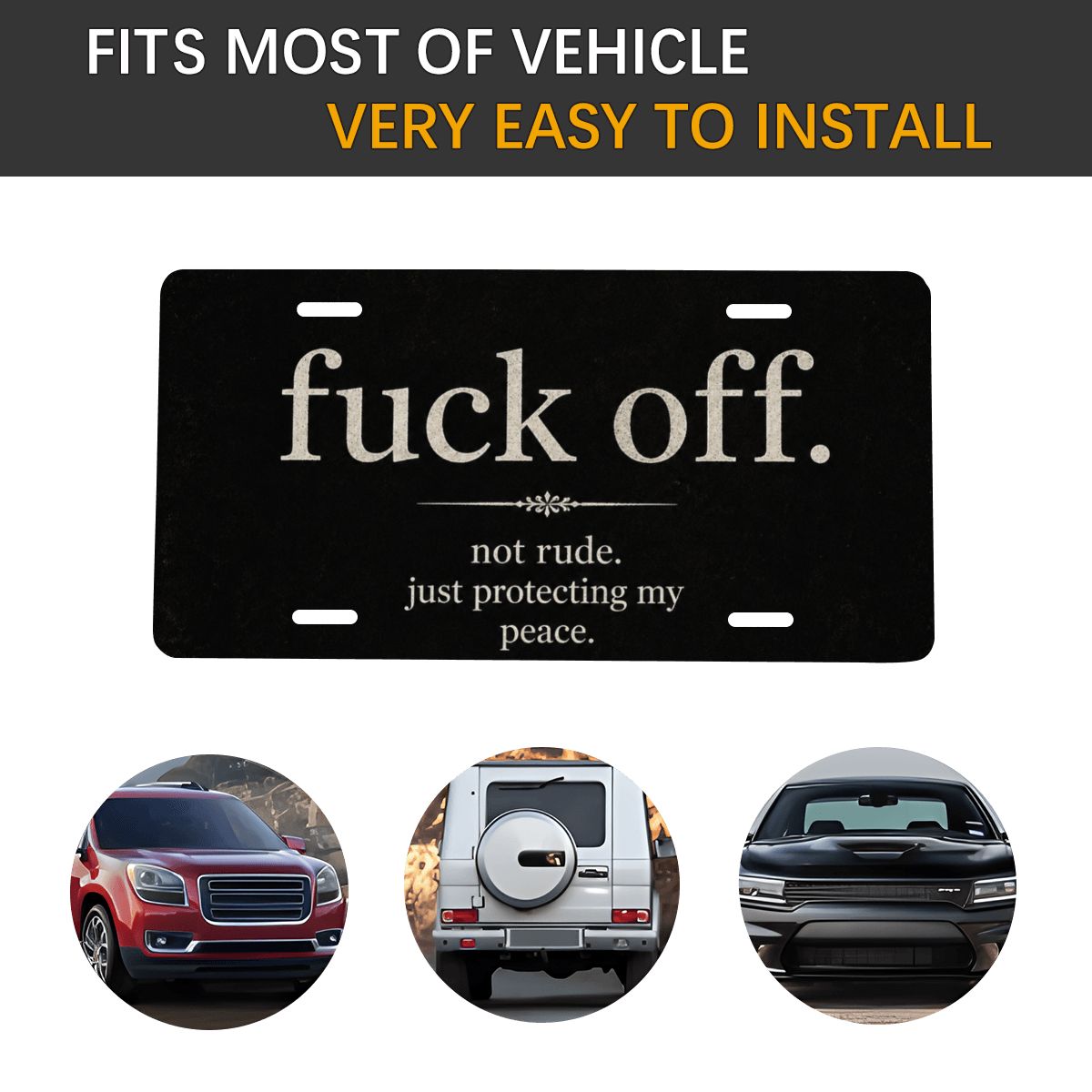 Aluminum License Plate