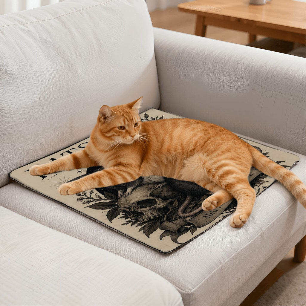 Cat Heating Pad