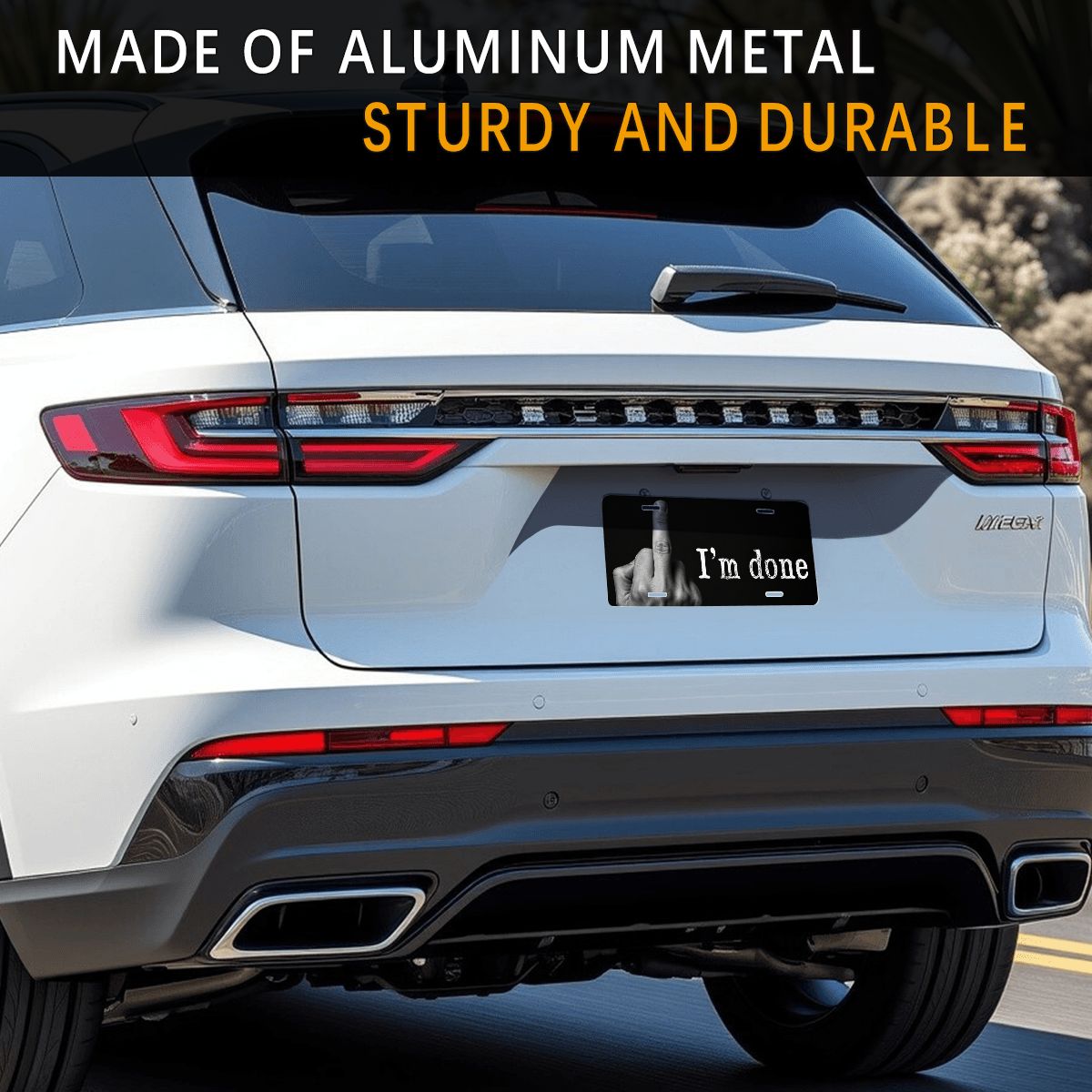 Aluminum License Plate
