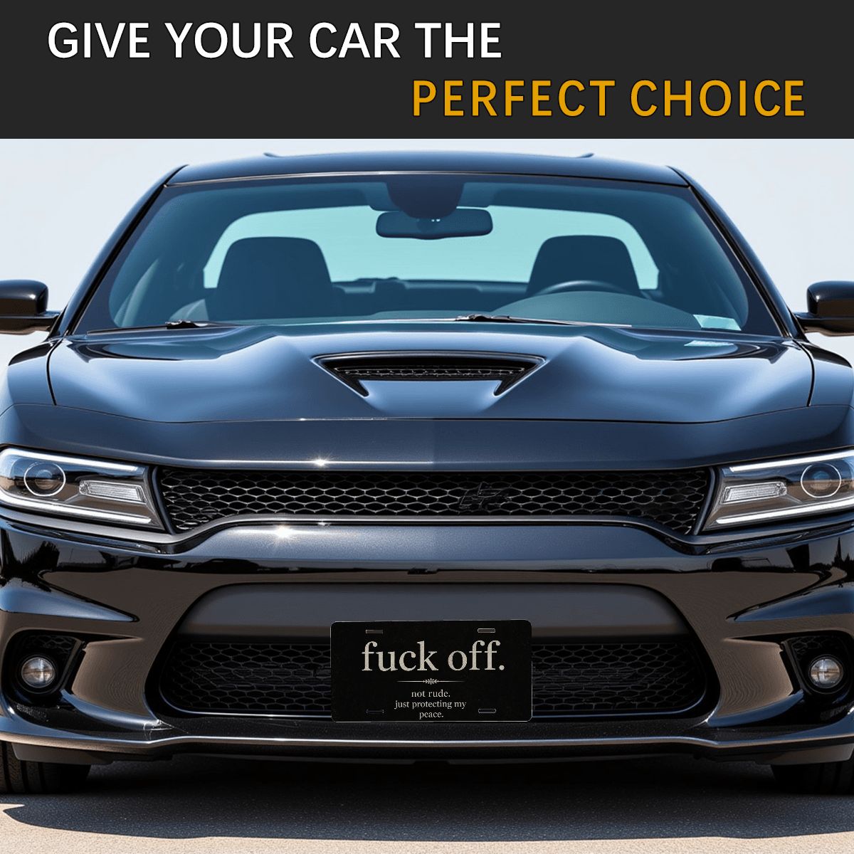 Aluminum License Plate