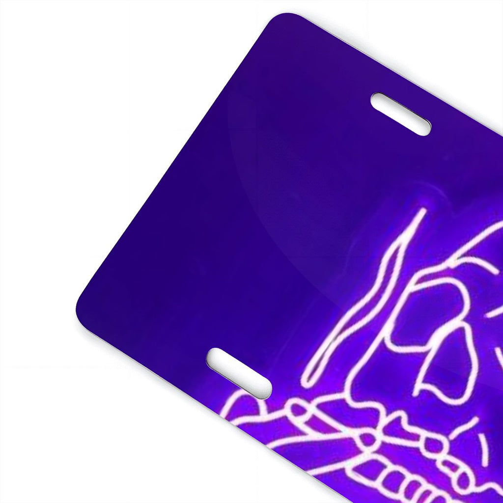 Aluminum License Plate