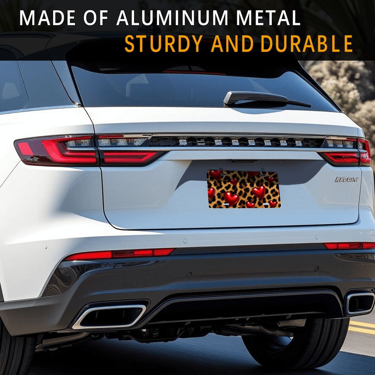 Aluminum License Plate