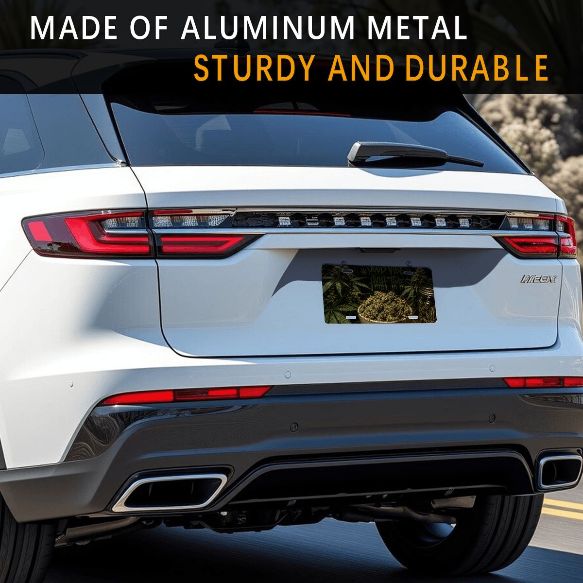 Aluminum License Plate